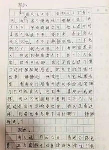 國慶的校園作文