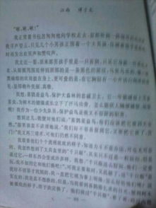 美食節(jié)活動(dòng)作文六年級(jí),班級(jí)美食節(jié)作文六年級(jí),美食節(jié)作文600字六年級(jí)