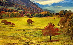 校園秋天50字作文