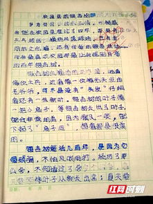 關(guān)于寫校園的作文四級作文怎么寫400字