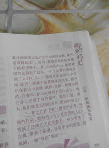 作文,春夏秋冬,校園