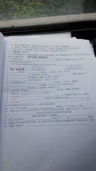 下課的情景作文,下課十分鐘的情景作文,下課時的情景作文