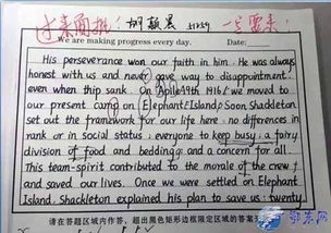 外賣食品是否應(yīng)該進入校園英語作文