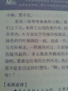 校園的一件事作文500字左右