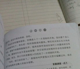 秋天的校園寫一篇作文00字