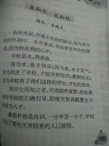 關(guān)于娘娘腔的作文,對(duì)于娘娘腔的看法作文,娘娘腔作文500