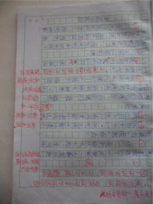 觀察校園里作文