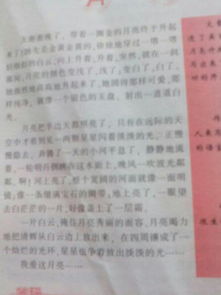 大學校園描景作文