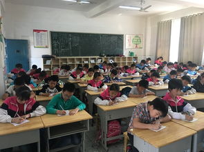 校園陽光市場活動作文