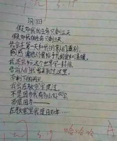 小學(xué)生怎么寫校園的一角的作文