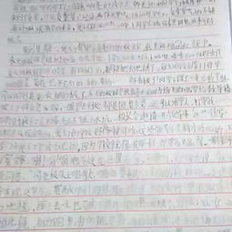 校園安全文明征文1000字作文