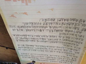 作文,中專,眼中,校園