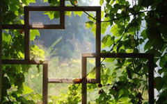 校園窗外的風(fēng)景作文600字,校園窗外風(fēng)景作文800字,窗外的風(fēng)景作文500字