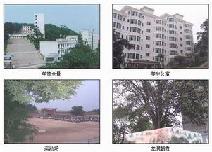 永川北山中學校園景色作文