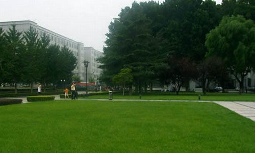 作文,變遷,校園,大全