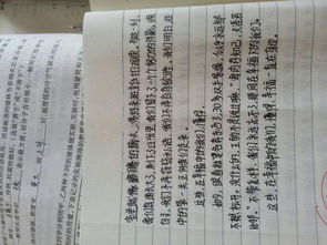 尋找校園最美瞬間作文600字作文