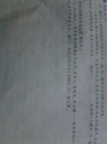 作文,滋味,校園