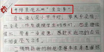 作文,小學,校園,大全