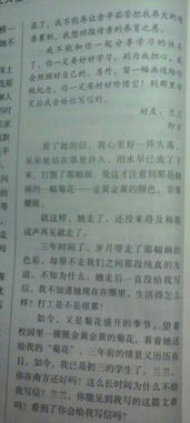 校園里同學(xué)之間作文800字作文