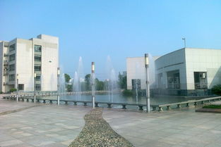 二級(jí)我的新校園100字作文