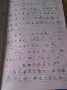 校園里的難忘的一次活動(dòng)的作文四百字作文