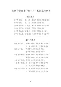 關(guān)于校園足球賽的作文初中