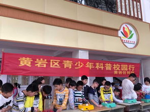 科普宣傳進校園作文