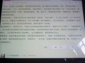 最美,初中,校園,生作文