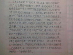 新的校園作文150字的中學(xué)