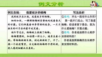 三級我們眼中的繽紛校園作文