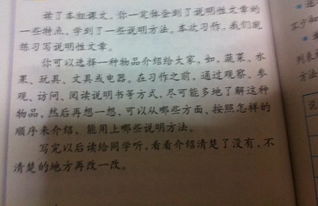 說明文,作文,校園