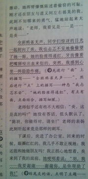 有關(guān)校園的作文500字寫事