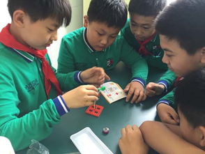 我是綠色校園設(shè)計師方案作文