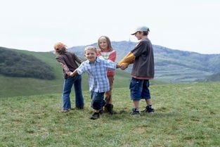 游校園作文400字以上