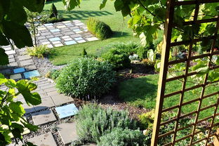 校園的花壇相關作文