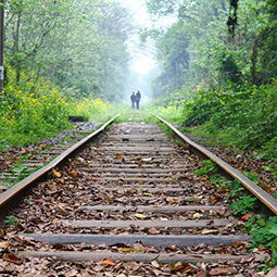 美麗校園大學作文冬日