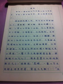 作文多彩校園400字