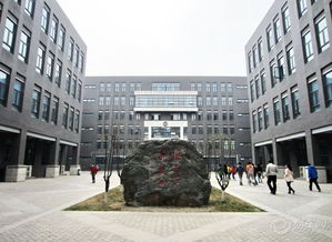 新校園美景作文