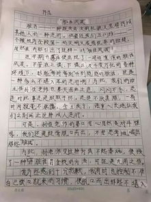 作文,足球比賽,五級,小學(xué)生