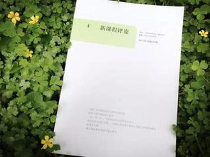 作文,愛護,校園,一草一木