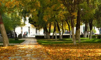 難忘的校園生活作文700字