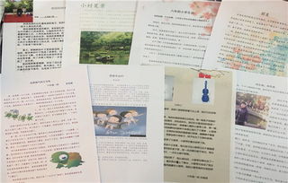 校園里精彩的活動作文怎么寫