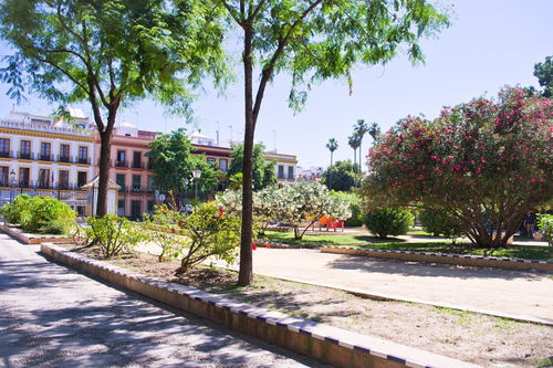 保護校園環(huán)境的作文1000字作文