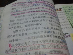 校園的花400字作文600字作文