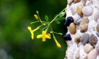 校園的一角作文高中