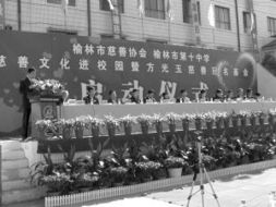 關于慈善文化進校園的作文