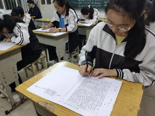 我愛(ài)校園的作文閱讀答案