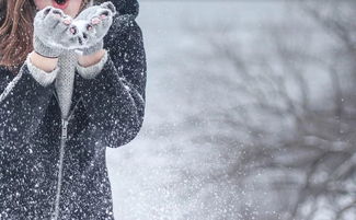 我們的校園作文一千字