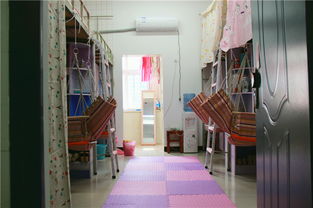 校園寢室作文,校園寢室生活作文,關于寢室的作文