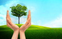 我與校園共成長作文700字